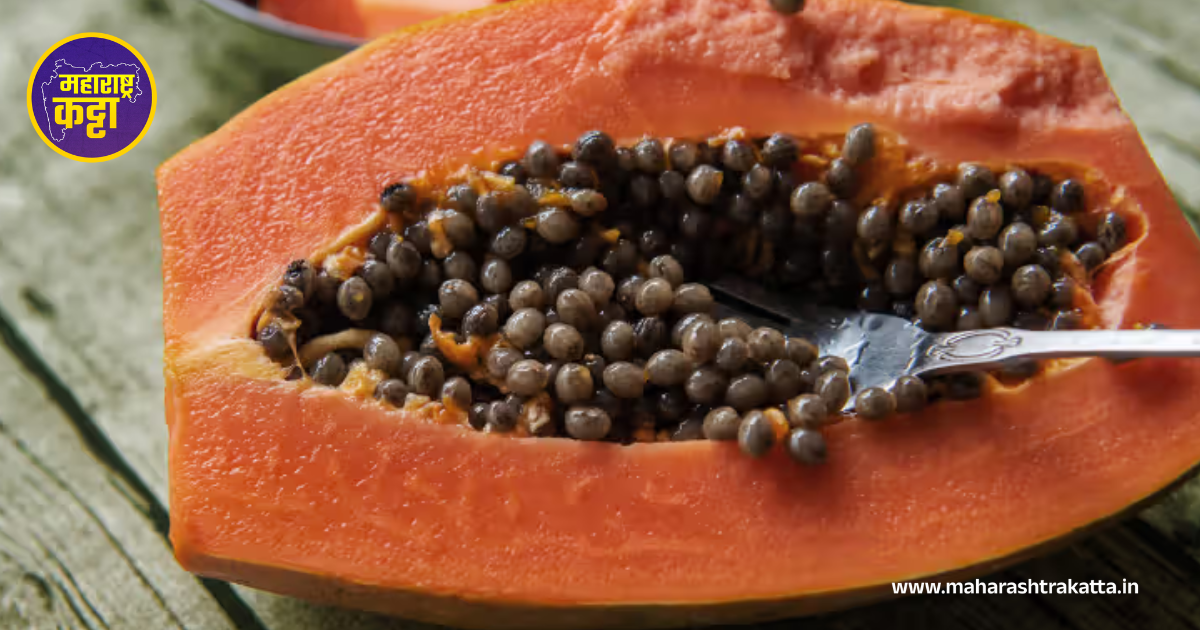 Papaya Seeds: तुम्ही पपईच्या बिया कचऱ्यात फेकून देता? जाणून घ्या त्याचे आरोग्यदायक फायदे!”