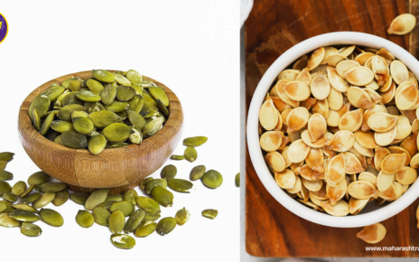 Pumpkin Seeds Benefits and Maharashtra Katta